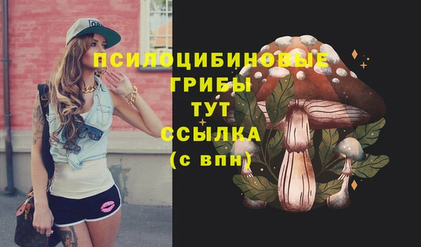 мдпв Белокуриха