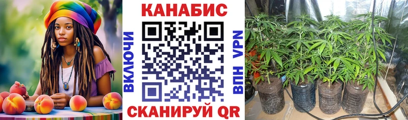 Конопля гибрид  купить наркотик  Пойковский 